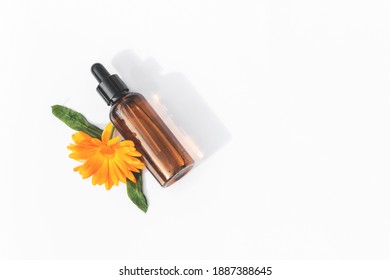 Natural calendula oil in a small bottle with a dropper. Calendula flower. Calendula. White background.