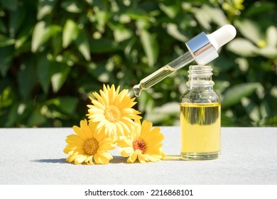 Natural Calendula Oil In Transparent Dropper Bottle With Pipette Against Green Leaves As Natural Background. Herbal Cosmetic Oil For Skincare. Calendula Beauty Products. Selective Focus