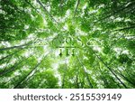 Natural carbon capture solution. Green trees in forest as carbon sink. Sustainable ecosystems. Climate change. Environmental sustainability. Carbon-neutral green forests. Natural carbon sequestration.