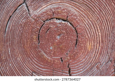 Natural circular patterns of tree rings on a red painted wooden beam.