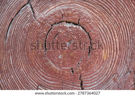 Natural circular patterns of tree rings on a red painted wooden beam.