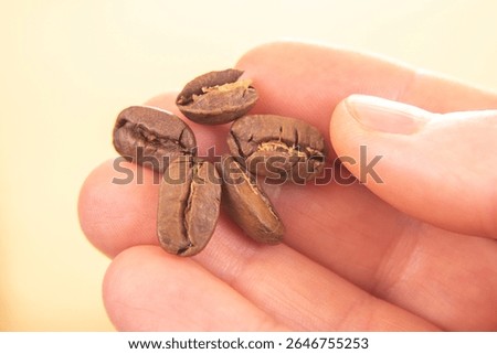 natural close-up of a hand with a split roasted coffee bean, set against a soft beige background. Highlights the organic beauty of coffee, ideal for agriculture or natural food themes.