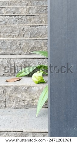 Natural color composition of leaves on the side of the stairs
