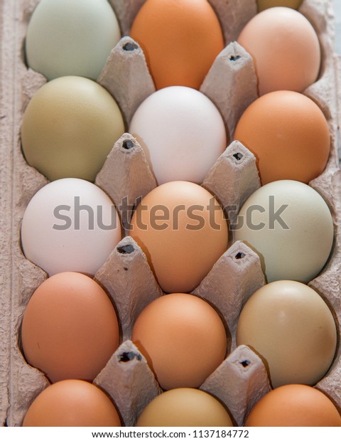 Natural Colored Easter Eggs Fresh Gathered Stock Photo Edit Now