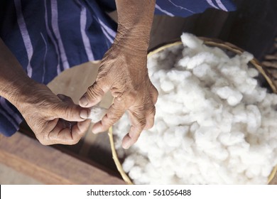 10,980 Cotton Plant On Black Background Images, Stock Photos & Vectors