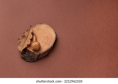 Natural Creative Concept With Wood Piece, Leaf And Mushroom On Brown Background. Saw A Tree. Oak Leaf And Honey Agaric Mushroom. Brown Autumn Banner With Copy Space.