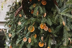 Natural Decoration Made Of Dry Orange Slices On Christmas Tree. Diy Christmas Food Decoration. Environment, Recycle, Reuse And Zero Waste Concept. Selective Focus