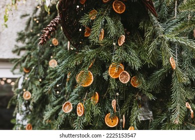 Natural decoration made of dry orange slices on Christmas tree. Diy Christmas food decoration. Environment, recycle, reuse and zero waste concept. Selective focus - Powered by Shutterstock