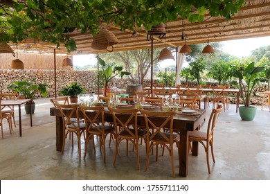 Natural Decoration Of Outdoor Terrace Of Restaurant