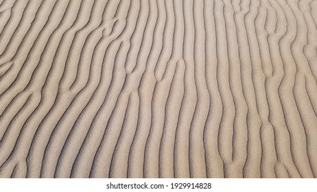 natural desert sand background with wind ripples lines or waves effects, transverse sand dune close up. - Shutterstock ID 1929914828