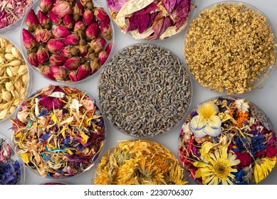 natural dried edible and pressed flowers for decorative use in pastry and cocktails with a variety of colors and shapes