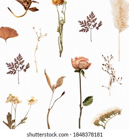 Natural Dried Flower Wallpaper Pattern