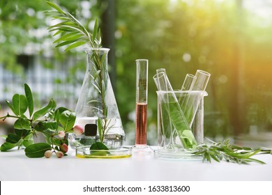 Natural drug research, Natural organic and scientific extraction in glassware, Alternative green herb medicine, Natural skin care beauty products, Laboratory and development concept. - Shutterstock ID 1633813600