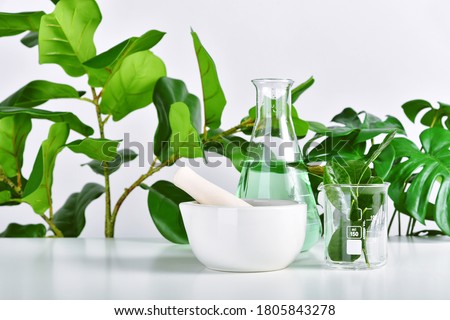 Similar – Image, Stock Photo Green cosmetics bottle with flowers and spa accessories