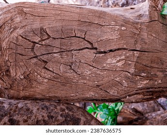 Natural dry brown cut tree surface level. Weathered and cracked natural tree texture. - Shutterstock ID 2387636575