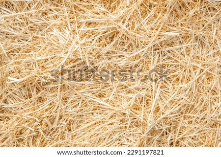 Natural dry straw background for designs