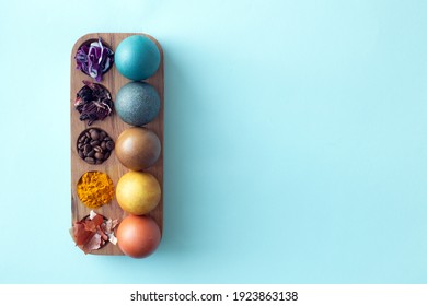 Natural dye for easter eggs - red cabbage, carcade, coffee, turmeric and onion skin on light blue background. Homemade colored easter eggs with ingredients. Copy space, mock up