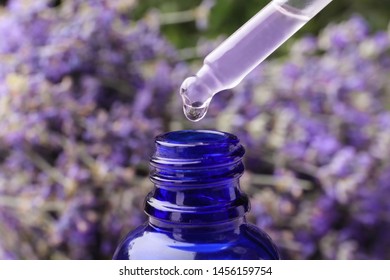 Natürliches ätherisches Öl, das aus der Pipette in die Flasche gegen Lavendelblumen tropft, Nahaufnahme