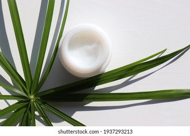 Natural Face Cream In Glass Jar And Green Palm Leaves On White Table Background. Hard Light,  Shadow. Organic Beauty Products For Skin And Body Care. Summer Lifestyle. Top View, Copy Space	
