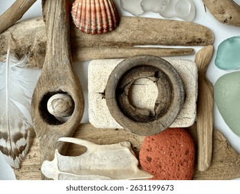 Natural flat lay composition featuring driftwood, sea glass, shells, feathers, and bones arranged on a white background