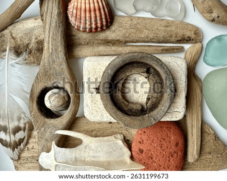 Natural flat lay composition featuring driftwood, sea glass, shells, feathers, and bones arranged on a white background