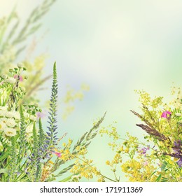 Natural floral background