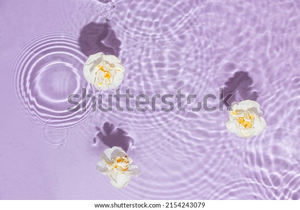Natural floral pattern made of white flowers floating in the water on pastel purple background. Reflections of sun and shadows. Spring or summer blooming texture concept. Minimal flat lay.