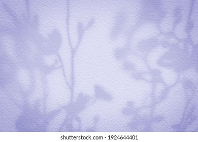 Natural flower shadows are blurred on light pink rose and mauve color wall at home at sunrise. 