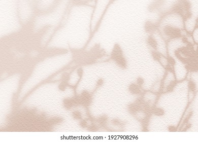 Natural flower shadows are blurred on light brown and cream color wall at home at sunrise. 