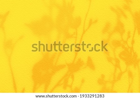 Natural flower shadows are blurred on light yellow color wall at home at sunrise. Summer beach with minimal concept.
