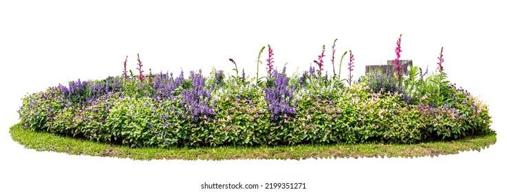 Natural flower and stone in garden isolated on white background. Garden flower part - Shutterstock ID 2199351271