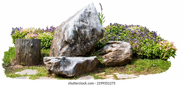 Natural flower and stone in garden isolated on white background. Garden flower part - Shutterstock ID 2199351273