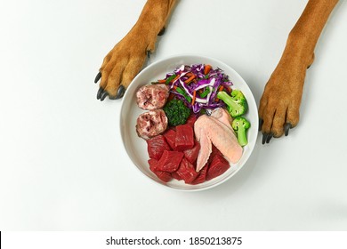 9,427 Protein dog Images, Stock Photos & Vectors | Shutterstock