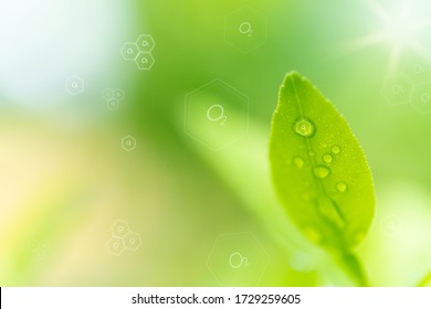 Natural Fresh Green Leaf And Oxygen Icon Over Blurred Background,enviroment  Air Purify Concepts