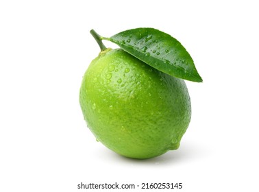 Natural fresh lime with water droplets  isolated on white background. Clipping path.
