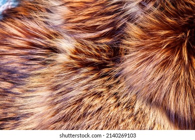 Pieles naturales de un zorro rojo como textura