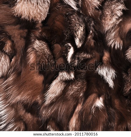 Natural fur texture, luxury outerwear for women fashion, fur coat texture worn by women in winter