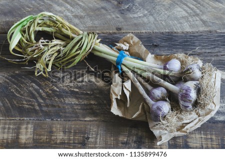 Similar – Foto Bild Natürliche Knoblauch auf Holzuntergrund