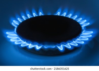 Natural Gas, Gas Burner With Blue Flame Close Up Soft Selective Focus