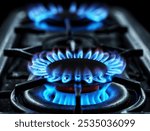 Natural Gas. High prices of natural gas. Blue flames of gas burning from a kitchen gas stove. Energy crisis concept background.