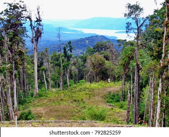 Natural Gas Pipeline Right Of Way In The Highlands Of Papua New Guinea, With A Lake Beyond