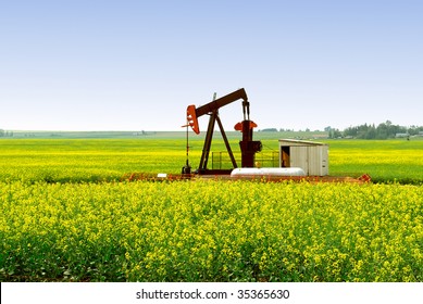 A natural gas pump jack in an Alberta Canola rapeseed field. - Powered by Shutterstock