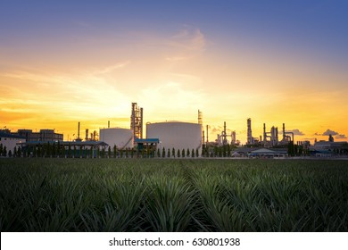 Natural Gas Storage Tanks , Oil Tank , LPG , Petrochemical Plant , Petroleum