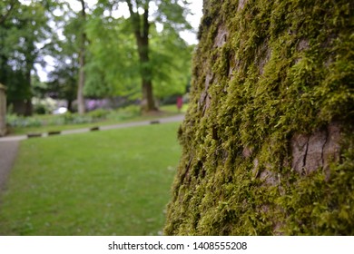 Natural Gawthorpe Hall In Spring