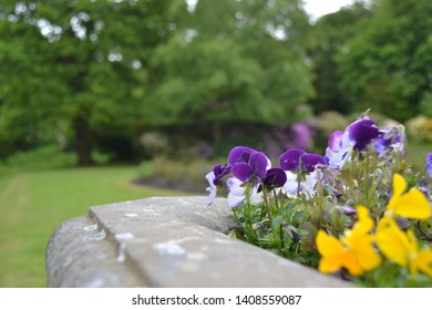 Natural Gawthorpe Hall In Spring