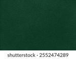 Natural, genuine solid green leather texture close up, macro. Structure of matte leatherette, artifical skin surface with embossing pattern. Background, wallpaper, backdrop