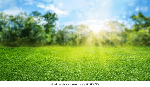 natural grass field background with blurred bokeh and sun rays - Powered by Shutterstock