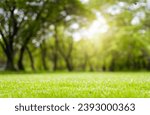 natural grass field lawn background with tree park outdoor back yard blurred bokeh and sun 