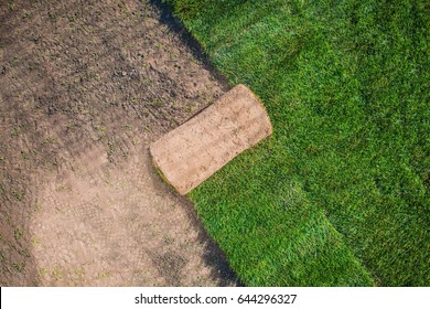 Natural Grass Garden Turfs Installation Photo Concept. Grass Turf Background.