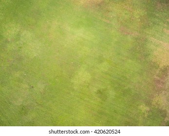 Natural Grass Texture, Aerial View Of Park